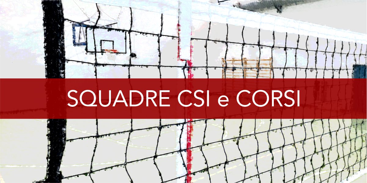 https://www.cdcvolleybologna.it/squadre-csi-e-corso-pallavolo.html